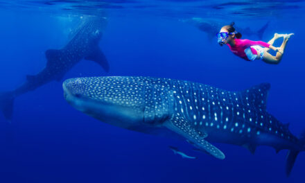 Awe makes kids more generous, empathetic, and content: 5 ways to help find more awe